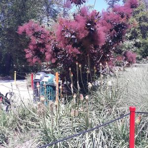 Meet your Posher, Thien